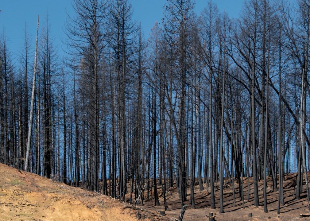 #39. Shasta County, California